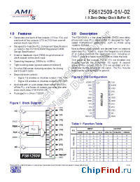 Datasheet FS612509-01 производства AMI