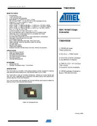 Datasheet TS83102G0 manufacturer ATMEL