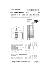 Datasheet TIC30A manufacturer Boca