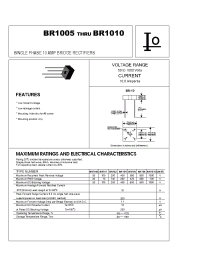 Datasheet BR108 manufacturer Bytes