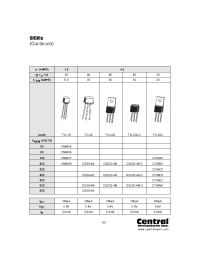 Datasheet CS202-4B-2 manufacturer Central