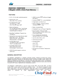 Datasheet EN29F002B-55T manufacturer Eon Silicon