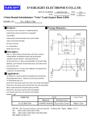 Datasheet 95-21UBGC/TR9 manufacturer Everlight