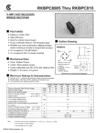 Datasheet RKBPC801 manufacturer Fuji