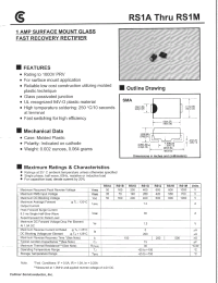 Datasheet RS1B manufacturer Fuji