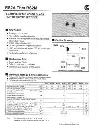 Datasheet RS2D manufacturer Fuji