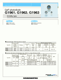 Datasheet G1961 manufacturer Hamamatsu