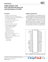 Datasheet IC89C5251A-12PQ manufacturer ICSI