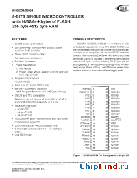 Datasheet IC89E54-40W manufacturer ICSI