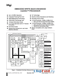 Datasheet IntelDX4TM manufacturer INTEL