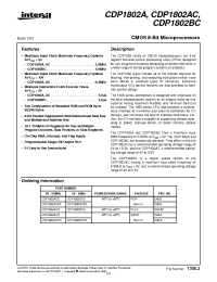Datasheet CDP1802BCDX manufacturer Intersil
