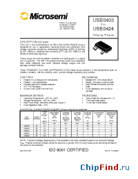 Datasheet USB0403 manufacturer Microsemi