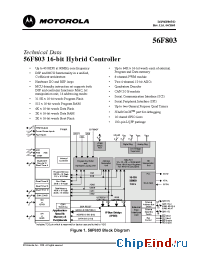 Datasheet SPAK56F803BU80 manufacturer Motorola
