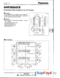 Datasheet AN93B06SCR manufacturer Panasonic