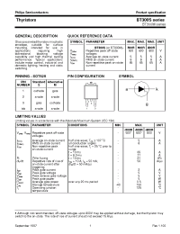 Datasheet BT300S manufacturer Philips