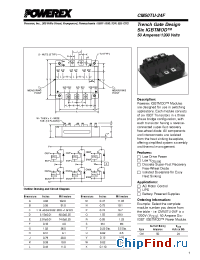 Datasheet CM100TU-24F manufacturer Powerex