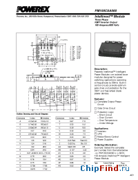 Datasheet PM100CSA060 manufacturer Powerex