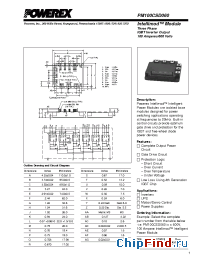 Datasheet PM100CSD060 manufacturer Powerex