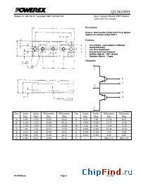 Datasheet QIC0610001 manufacturer Powerex