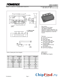 Datasheet QIQ1245001 manufacturer Powerex