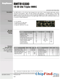Datasheet RMTR10300 manufacturer Raytheon
