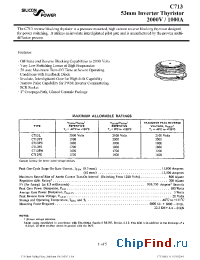 Datasheet C713/6RT107 manufacturer Silicon Power