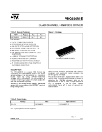 Datasheet VNQ830M-E manufacturer STMicroelectronics
