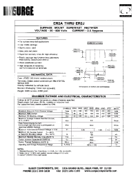 Datasheet ER2C manufacturer Surge