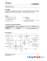 Datasheet U4289BM-AFP manufacturer TEMIC