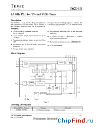 Datasheet U6209B-GFPG3 manufacturer TEMIC