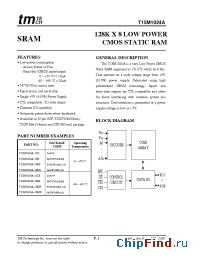 Datasheet T15M1024A manufacturer TMT