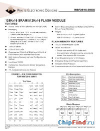 Datasheet WSF2816-39H1I manufacturer WEDC