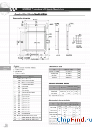 Datasheet PM61300-2 manufacturer Winstar
